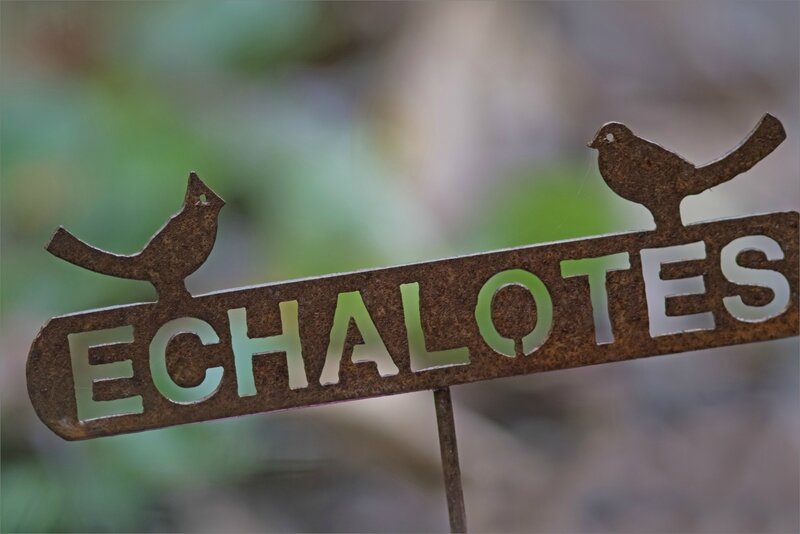 indication jardin ECHALOTES 122017