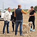IMG_4330