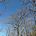 P1120239