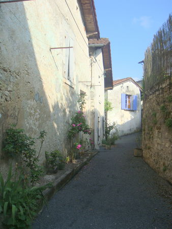 DSC02663
