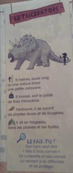Gemme_Ecole des dinos_Trice est amoureux_3