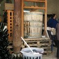 Rhône Nord-2 2006 080