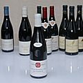 Vin_Bourgogne_NSG Philippe Gavignet