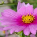 2010-09-01_230007