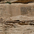 P1010365