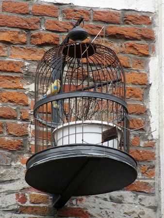 blog bru40