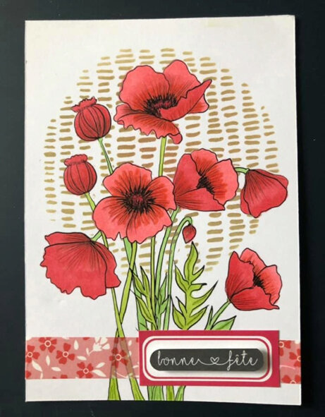 11_AlexLbo