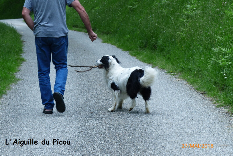 P1020720 - Copie