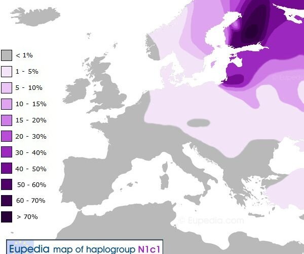 haplogroup n1c1 ouralien