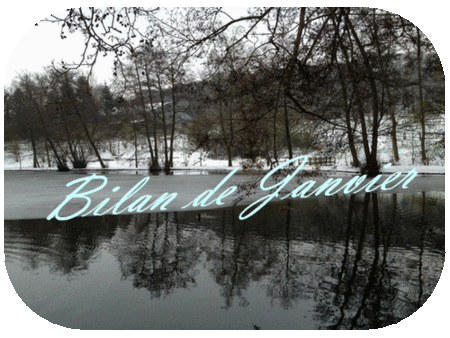 bilan de janvier