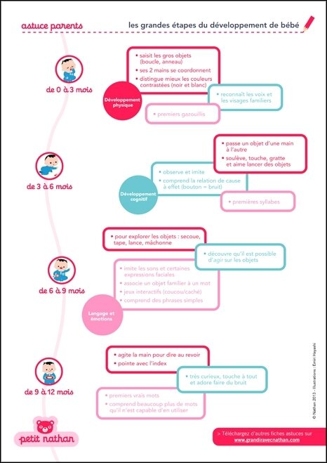 Etapes Du Developpement De Bebe Assistante Maternelle Argenteuil Orgemont