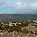 P1090379 - Copie