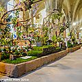 Exposition internationale d'Orchidées à l'Abbaye de Vaucelles