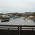 DSC08556