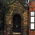 IMGP0653-1