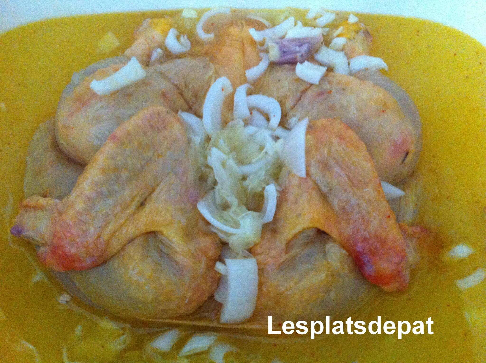 Churrasque Ou Poulet Grille En Marinade A La Portugaise Lesplatsdepat