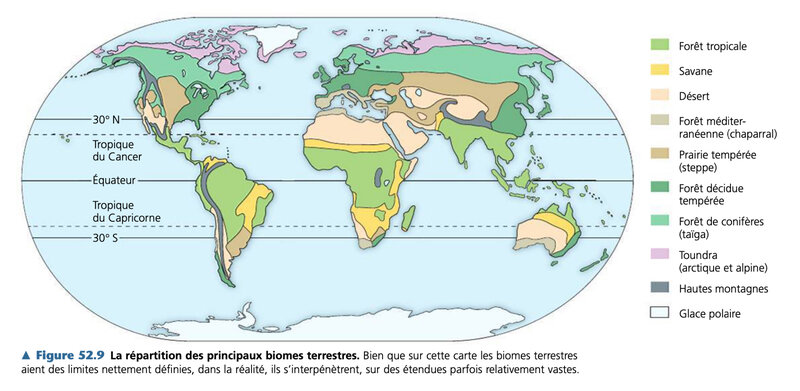 biomes terrestres