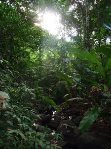 P1000279bis