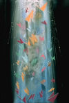 PDVD_009