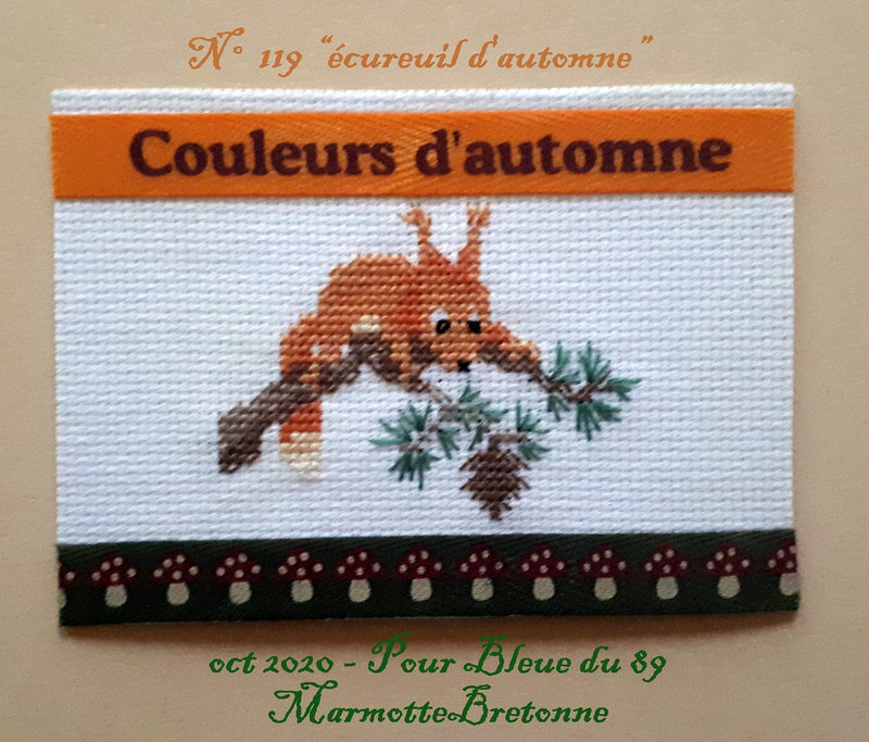 119 écureuil d'automne - 09-2020 (rr)