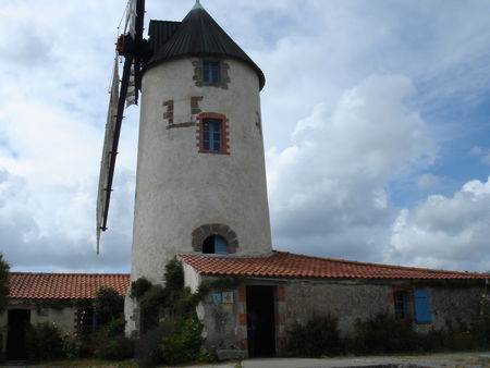 DSC01461