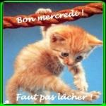 myemoticone_gif-bon-mercredi_bon_mercredi