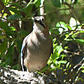 P1020267 - Copie (2)