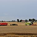 IMG_4235