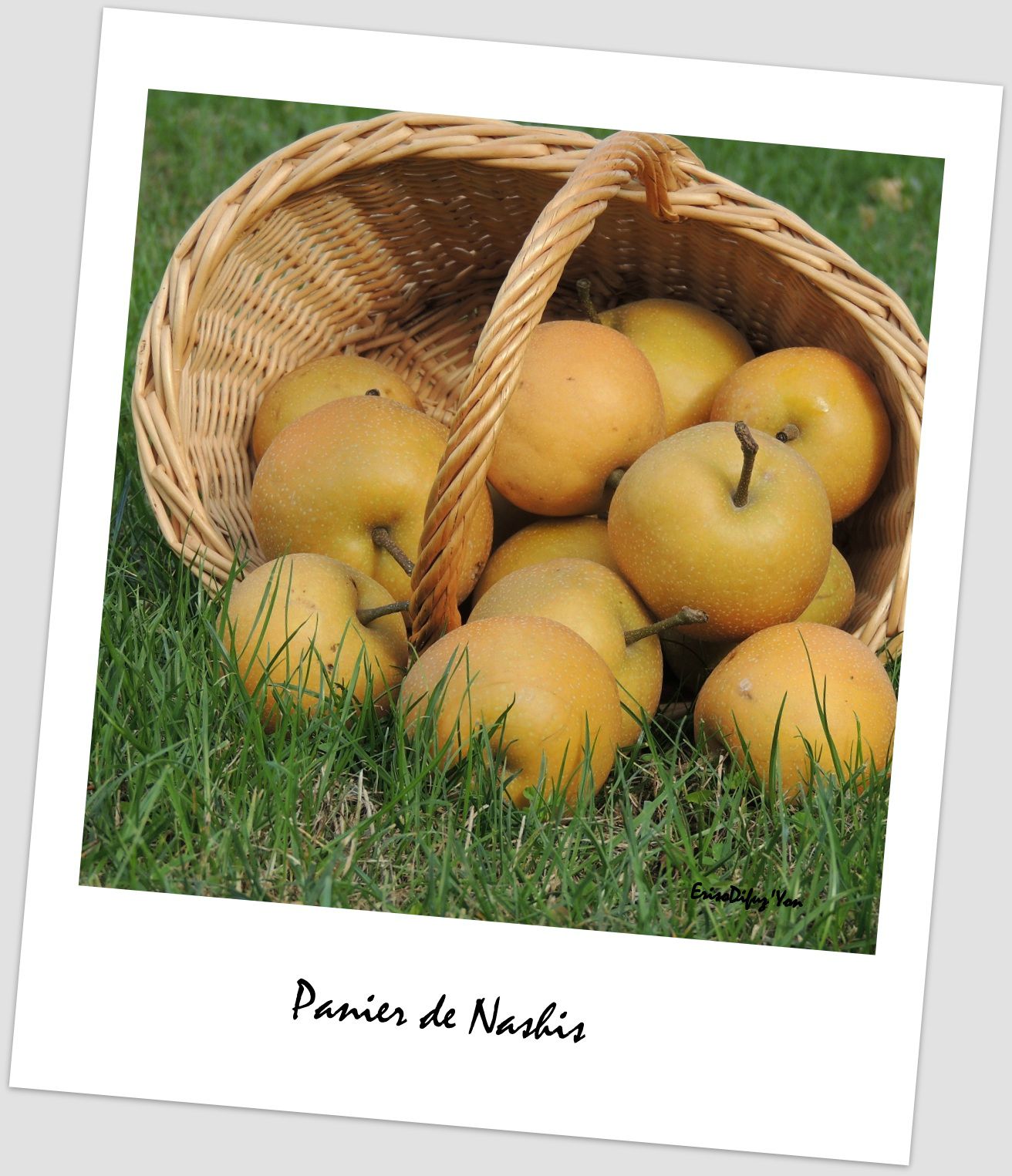 21+ Tarte Multi Fruits (Pommes Prunes Et Cerises Du Jardin) PNG