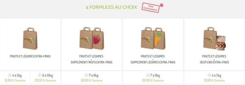 choix panier potager city