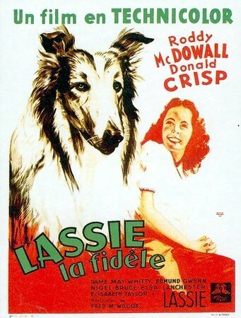 la_fidele_lasie