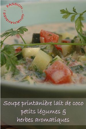 Soupe_printani_re_lait_de_coco__petits_l_gumes_et_herbes_aromatiques_2