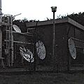 IMGP8773