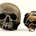 Crâne en biscuit polychrome, Europe du Nord, fin XVIIIe-début XIXe siècle, et crâne en terre cuite patinée, probablement XVIIIe siècle