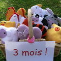 10 petits doudous