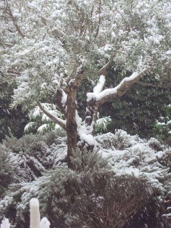DSC08899