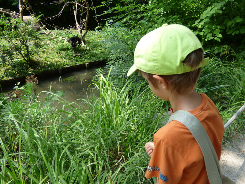 10 Amiens Zoo (31)
