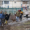 [grif' en peine] conditions d'accueil des animaux ukrainiens...