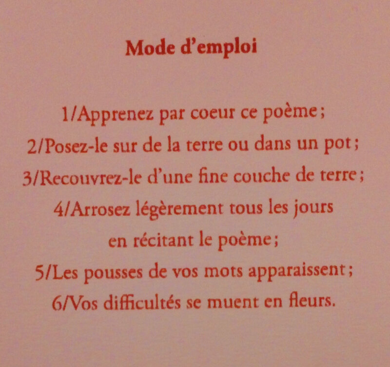 Rimbaud_Ma boheme_Poeme a planter-1