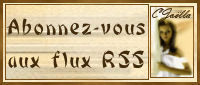abonnez_vous_au_flux2
