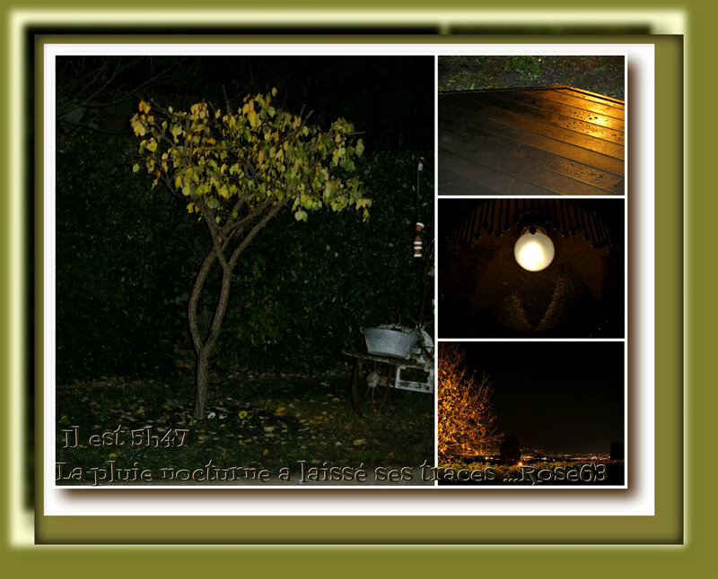Quand la nuit peine à s'en allerRose63