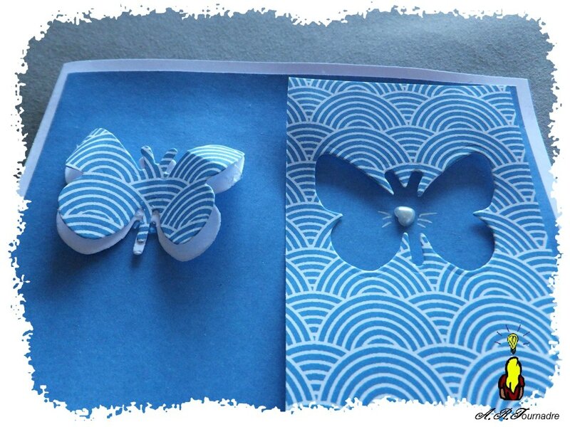 ART 2015 06 C&S papillon 2