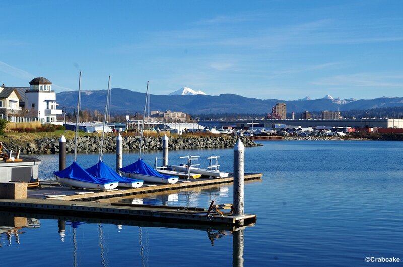 Bellingham 3