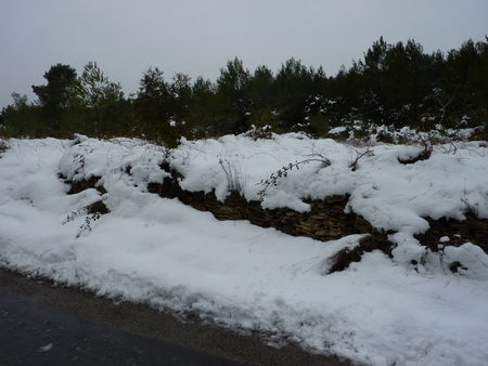 2010_0205neigemars201030252