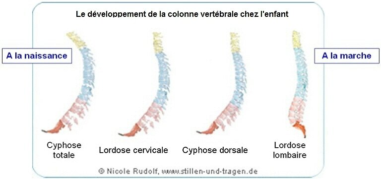 Le Porte Bebe Est Mauvais Pour Son Dos Ensemble Naturellement