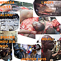 Kongo dieto 2398 : qui a tue les adeptes de bundu dia kongo ?