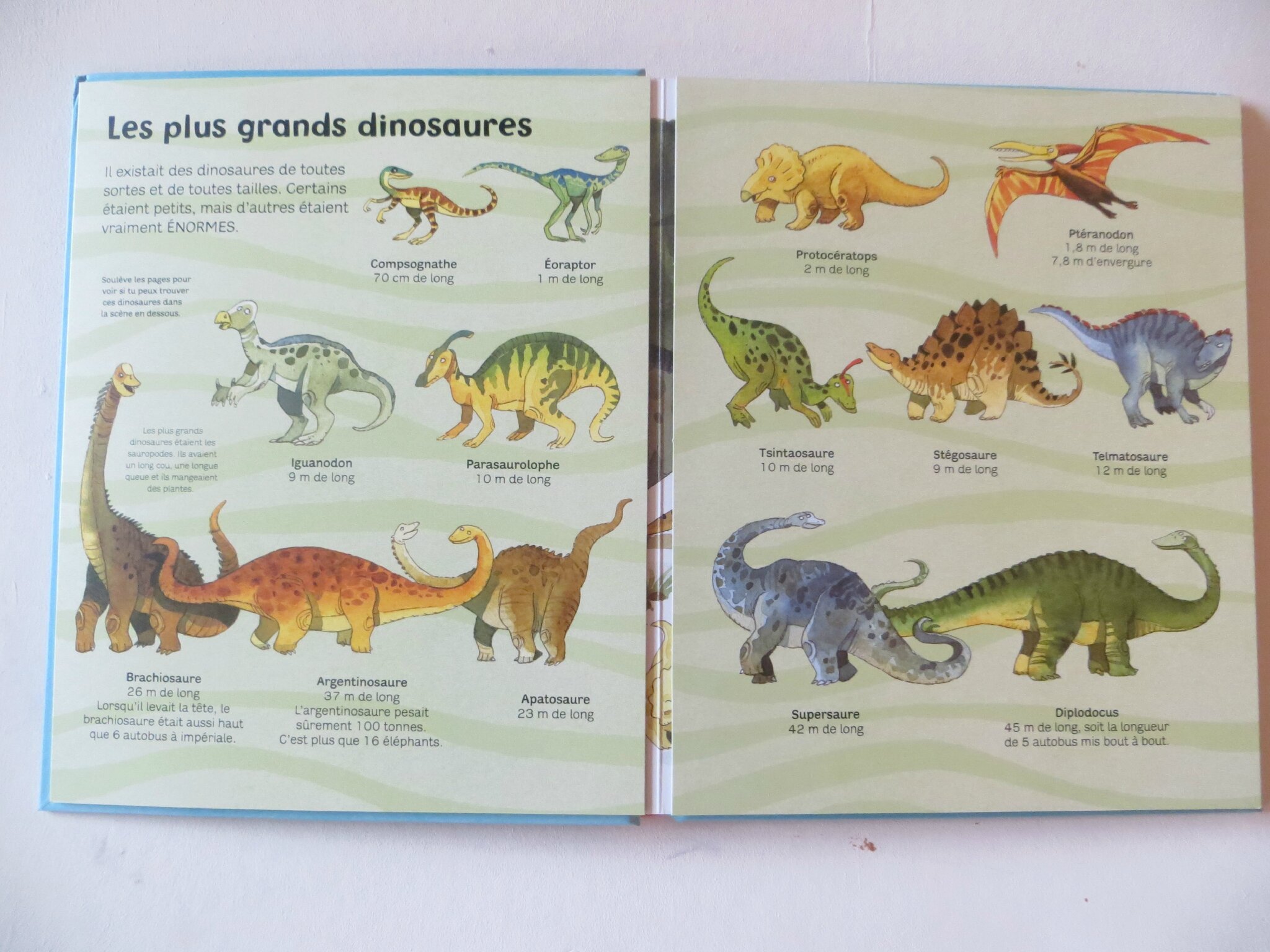 Mon livre des gros dinosaures