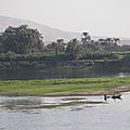 IMGP0767