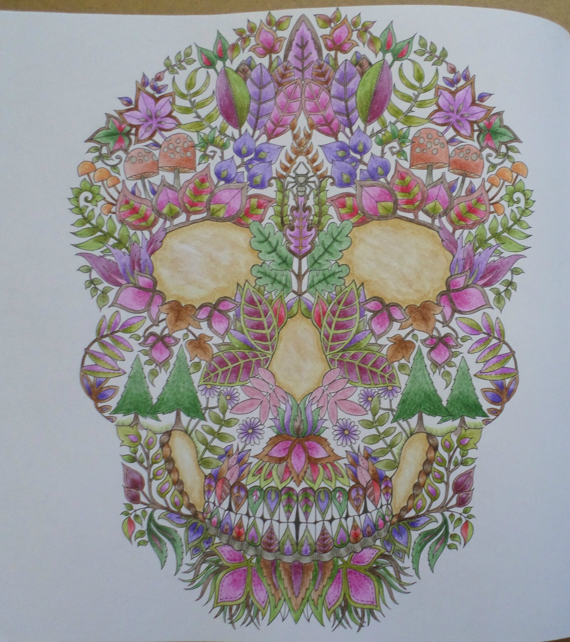 Coloriage La Foret Enchantee