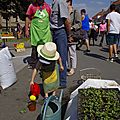 _IGP6437